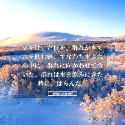 Picture 05 - 創世記 30:38 JPN - 皮をはいだ枝を、群れがきて水を飲 - Bible Verse Picture