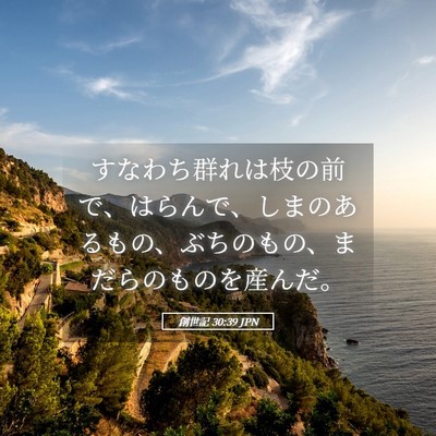 Picture 05 - 創世記 30:39 JPN - すなわち群れは枝の前で、はらんで - Bible Verse Picture