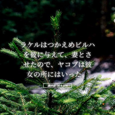 Picture 05 - 創世記 30:4 JPN - ラケルはつかえめビルハを彼に与え - Bible Verse Picture