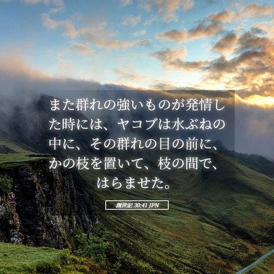Picture 05 - 創世記 30:41 JPN - また群れの強いものが発情した時に - Bible Verse Picture