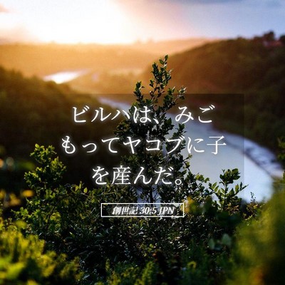 Picture 05 - 創世記 30:5 JPN - ビルハは、みごもってヤコブに子を - Bible Verse Picture