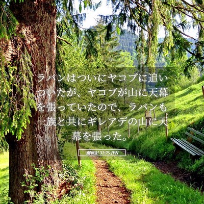 Picture 05 - 創世記 31:25 JPN - ラバンはついにヤコブに追いついた - Bible Verse Picture