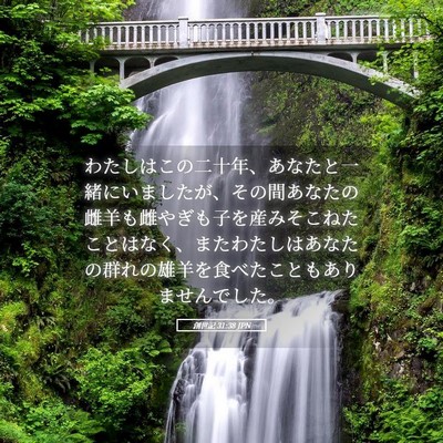 Picture 05 - 創世記 31:38 JPN - わたしはこの二十年、あなたと一緒 - Bible Verse Picture