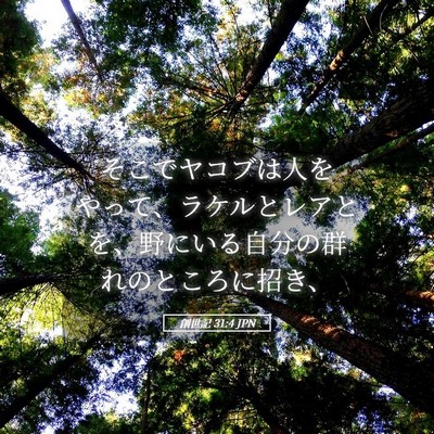 Picture 05 - 創世記 31:4 JPN - そこでヤコブは人をやって、ラケル - Bible Verse Picture