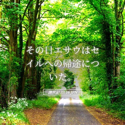 Picture 05 - 創世記 33:16 JPN - その日エサウはセイルへの帰途につ - Bible Verse Picture