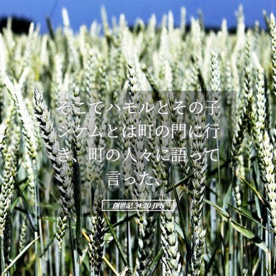 Picture 05 - 創世記 34:20 JPN - そこでハモルとその子シケムとは町 - Bible Verse Picture
