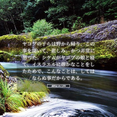 Picture 05 - 創世記 34:7 JPN - ヤコブの子らは野から帰り、この事 - Bible Verse Picture