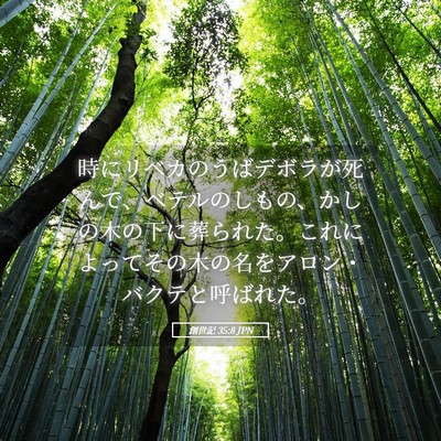 Picture 05 - 創世記 35:8 JPN - 時にリベカのうばデボラが死んで、 - Bible Verse Picture