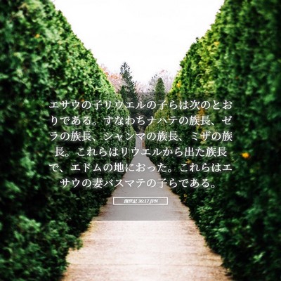 Picture 05 - 創世記 36:17 JPN - エサウの子リウエルの子らは次のと - Bible Verse Picture