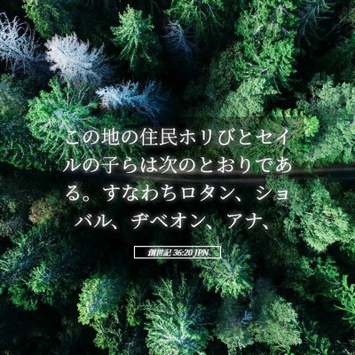 Picture 05 - 創世記 36:20 JPN - この地の住民ホリびとセイルの子ら - Bible Verse Picture
