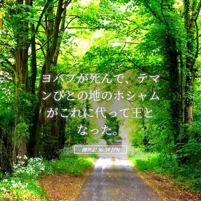 Picture 05 - 創世記 36:34 JPN - ヨバブが死んで、テマンびとの地の - Bible Verse Picture
