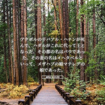 Picture 05 - 創世記 36:39 JPN - アクボルの子バアル・ハナンが死ん - Bible Verse Picture