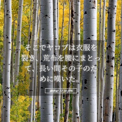 Picture 05 - 創世記 37:34 JPN - そこでヤコブは衣服を裂き、荒布を - Bible Verse Picture