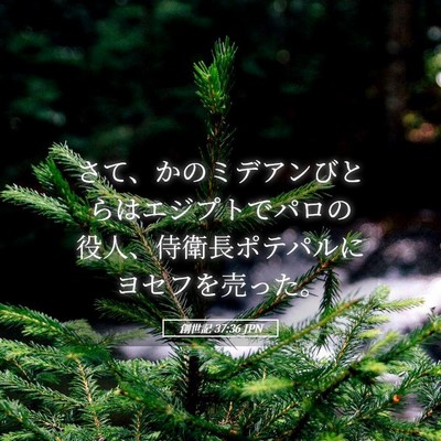Picture 05 - 創世記 37:36 JPN - さて、かのミデアンびとらはエジプ - Bible Verse Picture