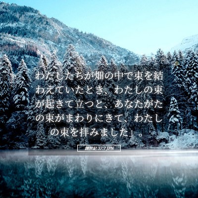 Picture 05 - 創世記 37:7 JPN - わたしたちが畑の中で束を結わえて - Bible Verse Picture