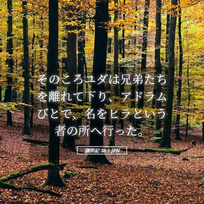 Picture 05 - 創世記 38:1 JPN - そのころユダは兄弟たちを離れて下 - Bible Verse Picture