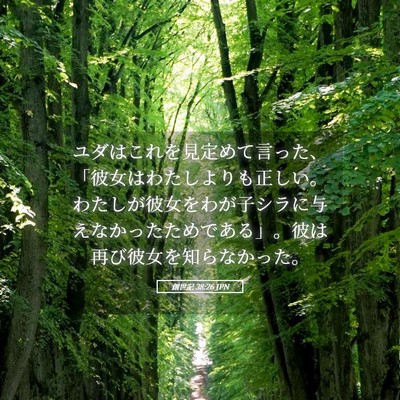 Picture 05 - 創世記 38:26 JPN - ユダはこれを見定めて言った、「彼 - Bible Verse Picture