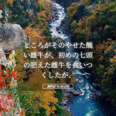 Picture 05 - 創世記 41:20 JPN - ところがそのやせた醜い雌牛が、初 - Bible Verse Picture