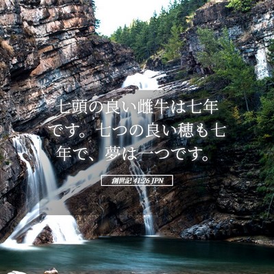 Picture 05 - 創世記 41:26 JPN - 七頭の良い雌牛は七年です。七つの - Bible Verse Picture