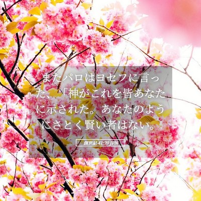 Picture 05 - 創世記 41:39 JPN - またパロはヨセフに言った、「神が - Bible Verse Picture
