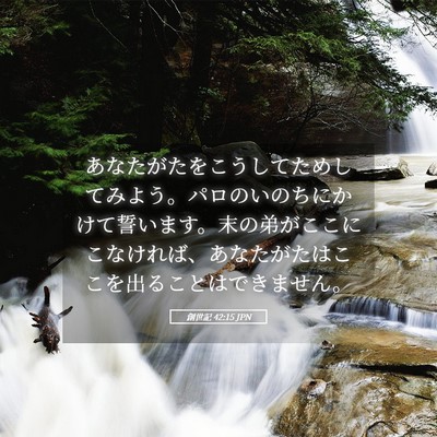 Picture 05 - 創世記 42:15 JPN - あなたがたをこうしてためしてみよ - Bible Verse Picture