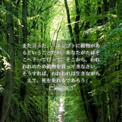 Picture 05 - 創世記 42:2 JPN - また言った、「エジプトに穀物があ - Bible Verse Picture