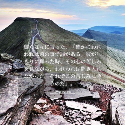 Picture 05 - 創世記 42:21 JPN - 彼らは互に言った、「確かにわれわ - Bible Verse Picture