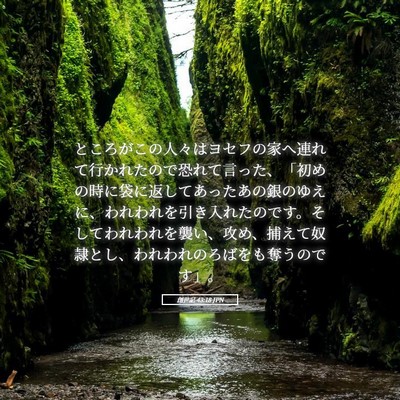 Picture 05 - 創世記 43:18 JPN - ところがこの人々はヨセフの家へ連 - Bible Verse Picture