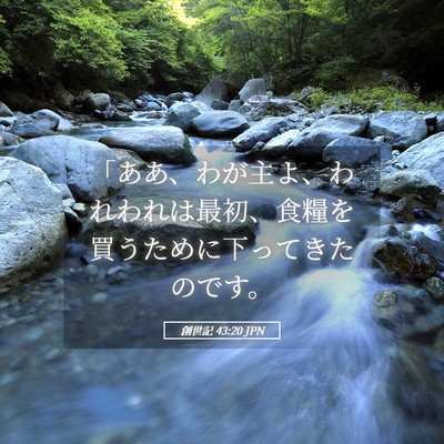 Picture 05 - 創世記 43:20 JPN - 「ああ、わが主よ、われわれは最初 - Bible Verse Picture