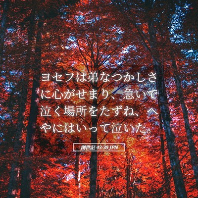 Picture 05 - 創世記 43:30 JPN - ヨセフは弟なつかしさに心がせまり - Bible Verse Picture