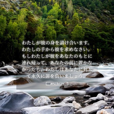 Picture 05 - 創世記 43:9 JPN - わたしが彼の身を請け合います。わ - Bible Verse Picture