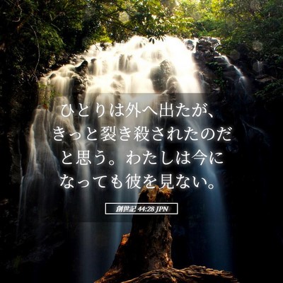 Picture 05 - 創世記 44:28 JPN - ひとりは外へ出たが、きっと裂き殺 - Bible Verse Picture