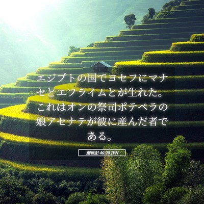 Picture 05 - 創世記 46:20 JPN - エジプトの国でヨセフにマナセとエ - Bible Verse Picture