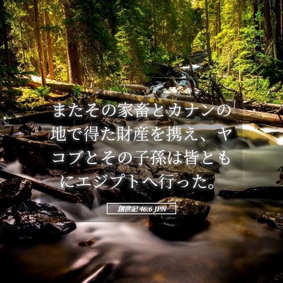 Picture 05 - 創世記 46:6 JPN - またその家畜とカナンの地で得た財 - Bible Verse Picture