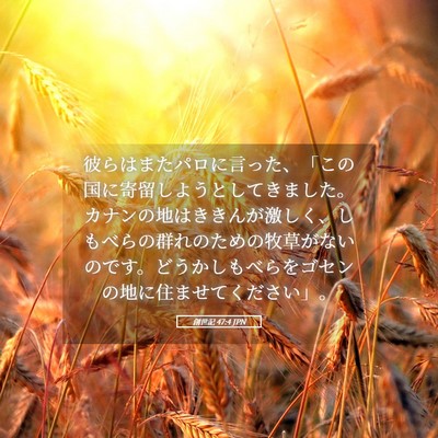 Picture 05 - 創世記 47:4 JPN - 彼らはまたパロに言った、「この国 - Bible Verse Picture