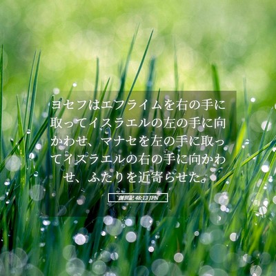Picture 05 - 創世記 48:13 JPN - ヨセフはエフライムを右の手に取っ - Bible Verse Picture