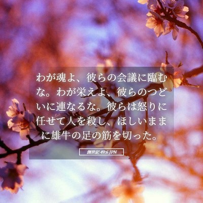 Picture 05 - 創世記 49:6 JPN - わが魂よ、彼らの会議に臨むな。わ - Bible Verse Picture