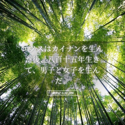 Picture 05 - 創世記 5:10 JPN - エノスはカイナンを生んだ後、八百 - Bible Verse Picture