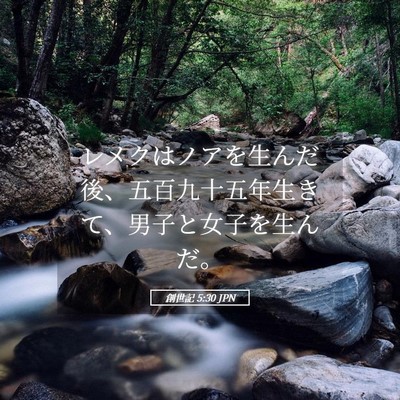 Picture 05 - 創世記 5:30 JPN - レメクはノアを生んだ後、五百九十 - Bible Verse Picture