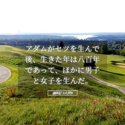 Picture 05 - 創世記 5:4 JPN - アダムがセツを生んで後、生きた年 - Bible Verse Picture