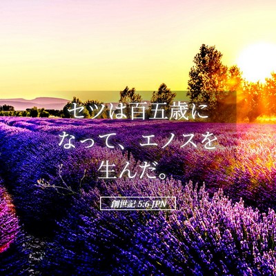 Picture 05 - 創世記 5:6 JPN - セツは百五歳になって、エノスを生 - Bible Verse Picture