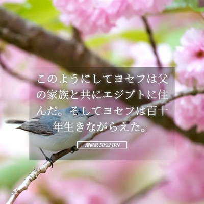 Picture 05 - 創世記 50:22 JPN - このようにしてヨセフは父の家族と - Bible Verse Picture