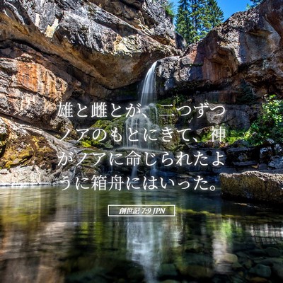 Picture 05 - 創世記 7:9 JPN - 雄と雌とが、二つずつノアのもとに - Bible Verse Picture
