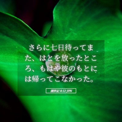 Picture 05 - 創世記 8:12 JPN - さらに七日待ってまた、はとを放っ - Bible Verse Picture