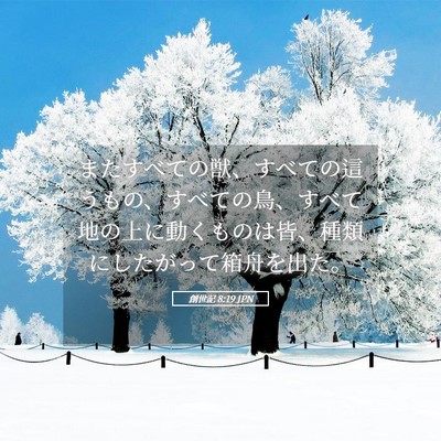 Picture 05 - 創世記 8:19 JPN - またすべての獣、すべての這うもの - Bible Verse Picture
