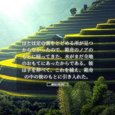 Picture 05 - 創世記 8:9 JPN - はとは足の裏をとどめる所が見つか - Bible Verse Picture