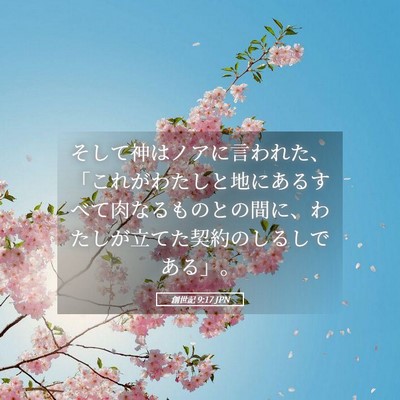 Picture 05 - 創世記 9:17 JPN - そして神はノアに言われた、「これ - Bible Verse Picture