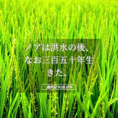 Picture 05 - 創世記 9:28 JPN - ノアは洪水の後、なお三百五十年生 - Bible Verse Picture