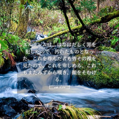 Picture 05 - 哀歌 1:8 JPN - エルサレムは、はなはだしく罪を犯 - Bible Verse Picture
