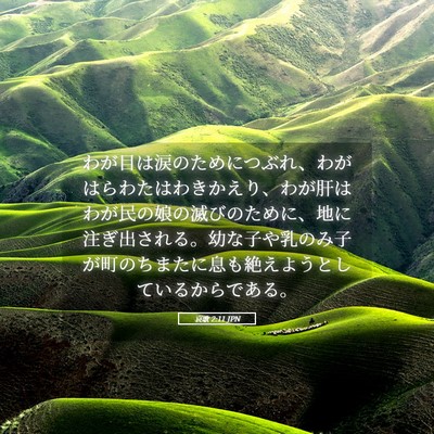 Picture 05 - 哀歌 2:11 JPN - わが目は涙のためにつぶれ、わがは - Bible Verse Picture